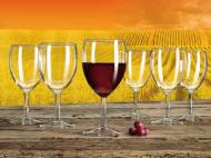 Set bicchieri per vino rosso o Bianco Ernesto, prezzo 4,99 &#8364; ...