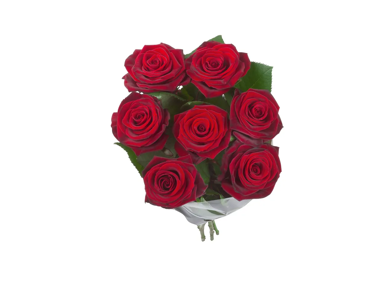 Mazzo di rose XXL , prezzo 3.99 EUR