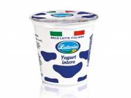 Yogurt bianco intero