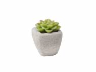 Candela cactus con vasetto , prezzo 1.99 &#8364; 
- A scelta ...