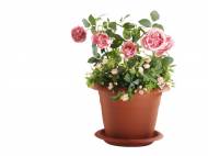 Vaso per piante Florabest, prezzo 3,99 &#8364; per Alla ...