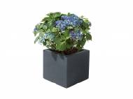 Vaso per piante Florabest, prezzo 0,00 &#8364; per Alla ...