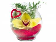 Orchidea in vaso di vetro , prezzo 1,99 &#8364; per Al vaso ...