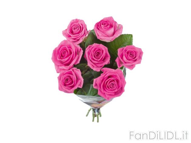 Mazzo di rose XXL , prezzo 3.99 EUR