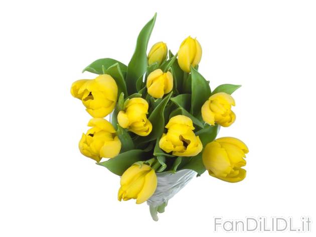 Mazzo di tulipani , prezzo 3.99 EUR