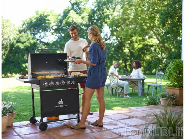 Barbecue a gas , prezzo 199 EUR