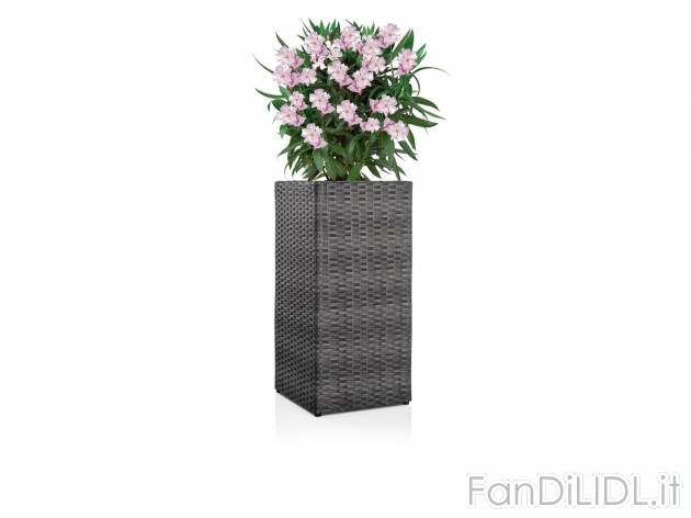 Vaso decorativo per piante , prezzo 19.99 &#8364; 
- Per ambienti interni ed ...