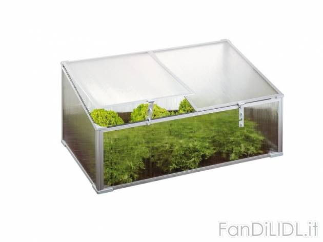 Mini serra da giardino Florabest, prezzo 29,99 &#8364; per Alla confezione 
- ...