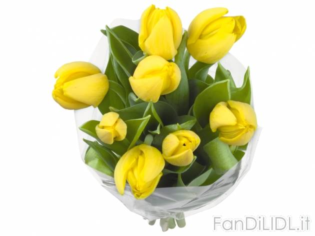 Mazzo di tulipani 8 steli , prezzo 1,99 &#8364; per Al mazzo 
-  In diversi colori