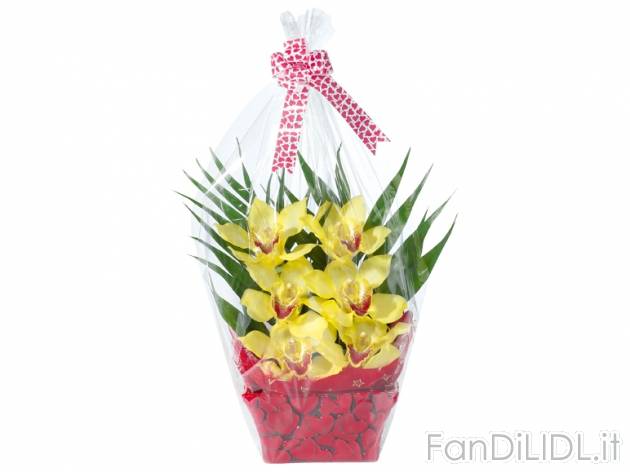 Orchidea 6 fiori , prezzo 7,99 &#8364; per Al vaso 
- In vaso di ceramica decorato ...