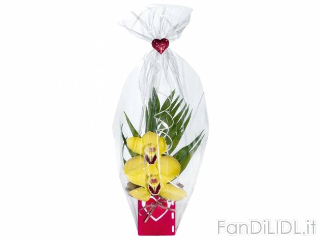 Orchidea 2 fiori , prezzo 3,99 &#8364; per Al vaso 
- In vaso di ceramica decorato ...