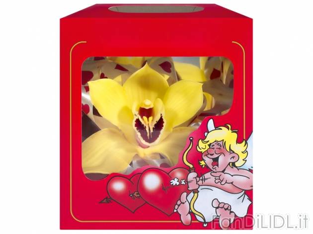 Orchidea in confezione regalo , prezzo 1,49 &#8364; per Alla confezione 
- ...