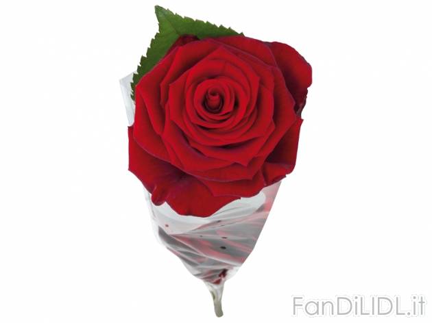 Rosa , prezzo 2,49 &#8364; per Alla confezione 
- Lunghezza 60 cm, in confezione ...