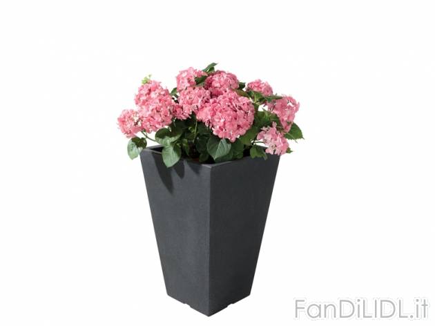 Vaso da arredo per piante rotondo/quadrato Florabest, prezzo 14,99 &#8364; per ...