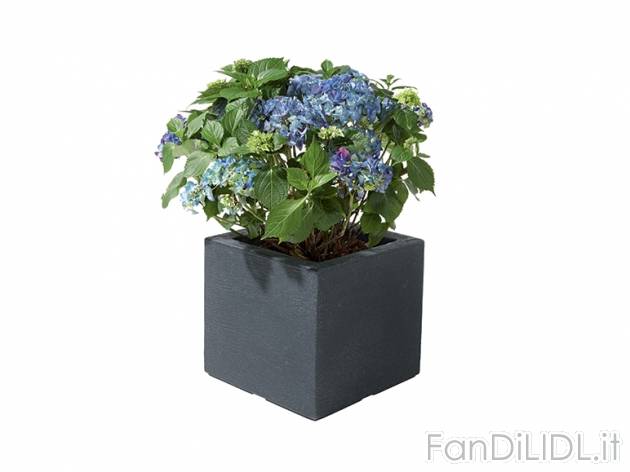 Vaso per piante Florabest, prezzo 0,00 &#8364; per Alla confezione 
- Per interni ...