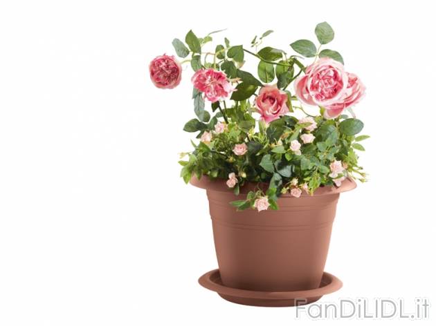 Vaso per piante Florabest, prezzo 3,99 &#8364; per Alla confezione 
- A scelta ...