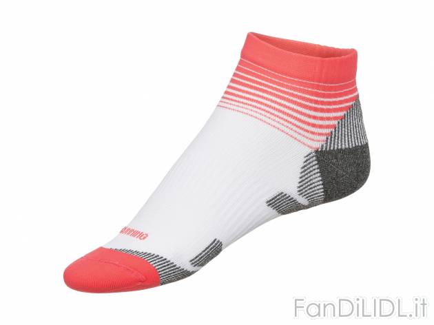 Calze Sportive Donna Alte Al Ginocchio A Righe - 1 Confezione Mardi Gras - Taglia Unica - Traspiranti E Morbide
