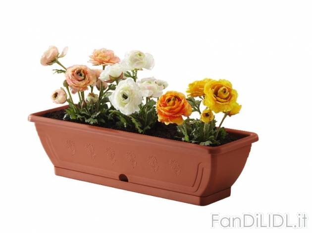 Vaso per piante Florabest, prezzo 3,99 &#8364; per Alla confezione 
- A scelta ...