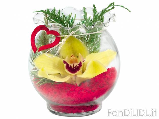 Orchidea in vaso di vetro , prezzo 1,99 &#8364; per Al vaso 
- Vaso &Oslash; ...