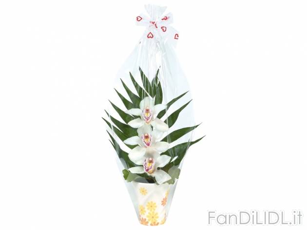 Orchidee 3 fiori , prezzo 4,99 &#8364; per Alla confezione 
- Vaso decorato ...