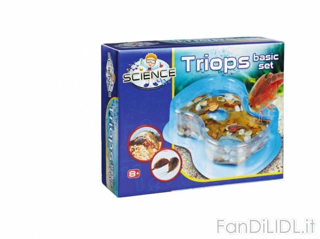 Gioco educativo piccolo , prezzo 7,99 &#8364; per Alla confezione 
- A scelta ...