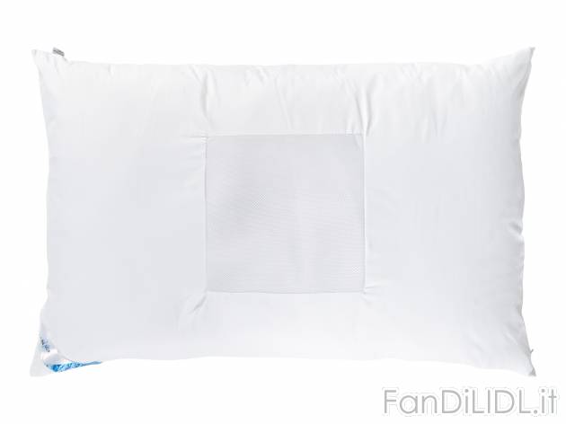 Cuscino con campo climatizzato Livarno, prezzo 11.99 € 
50 x 80 cm 
- Regolazione ...