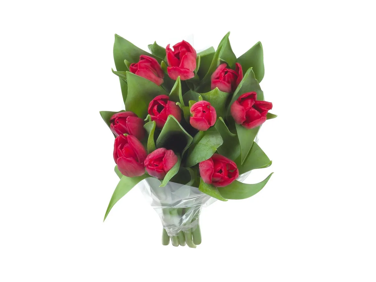 Mazzo di tulipani , prezzo 3.99 EUR