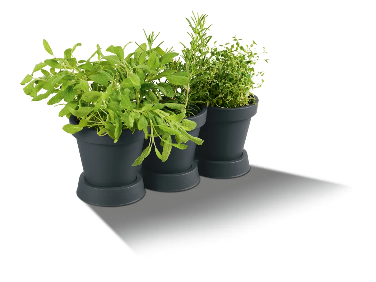 Vaso triplo per piante , prezzo 3.99 EUR 
Vaso triplo per piante 
- 100% plastica ...