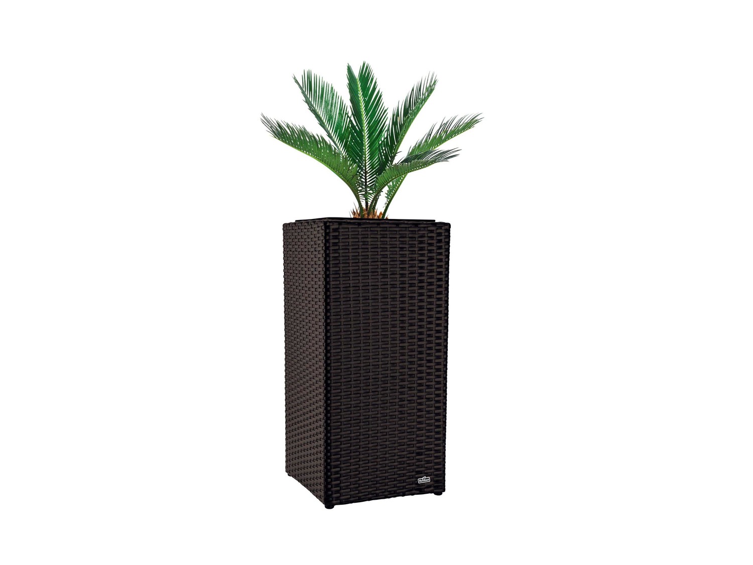 Vaso decorativo per piante, rettangolare o conico Florabest, prezzo 19.99 &#8364; ...