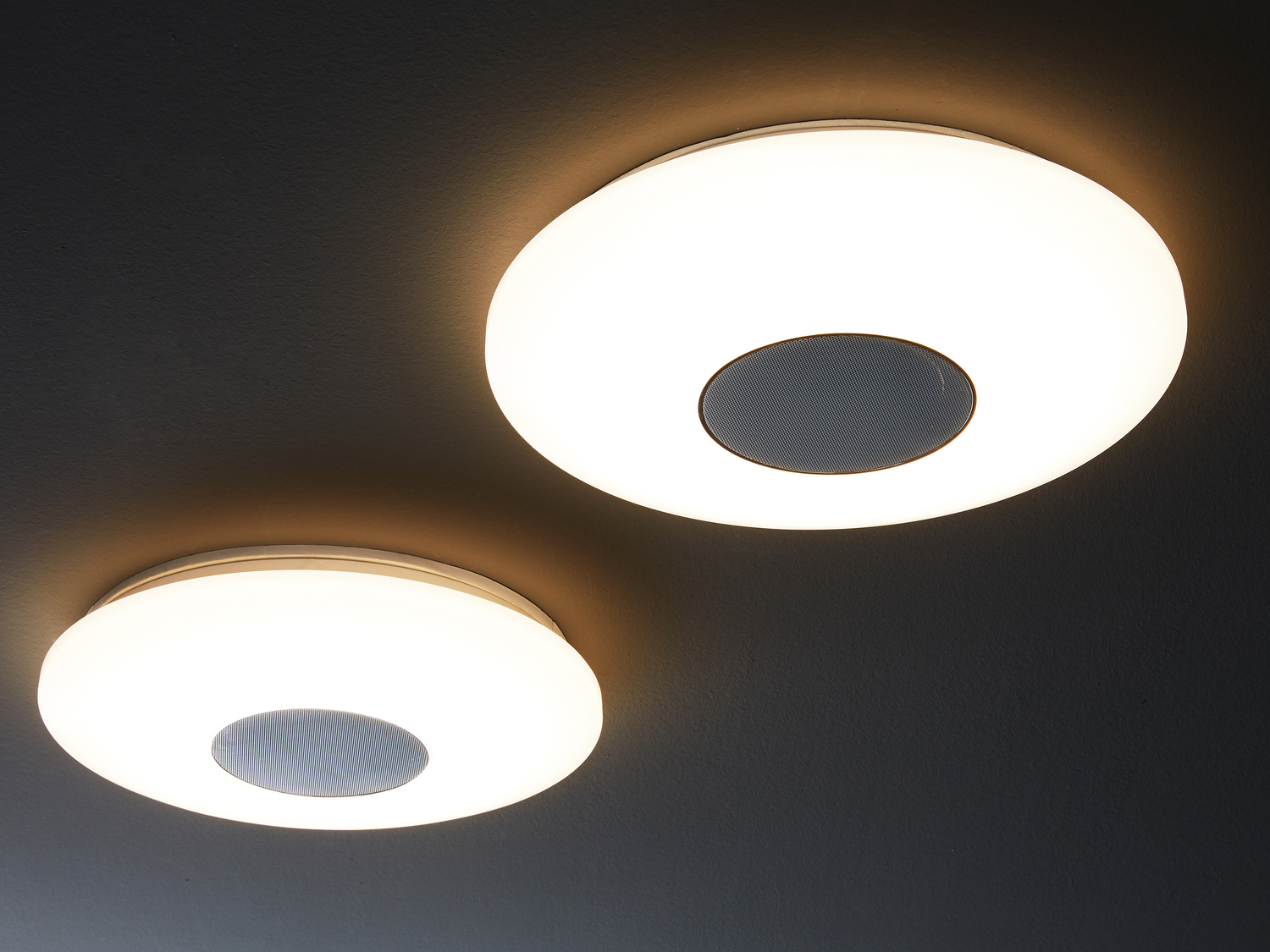 Lampada LED da soffitto con altoparlante Bluethooth Livarno Lux, prezzo 39.99 &#8364; ...