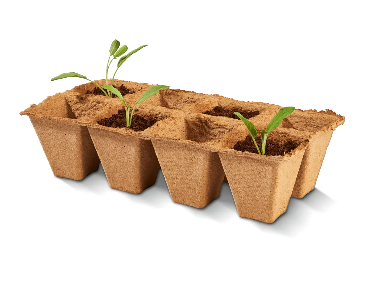 Vaso per coltivazione , prezzo 3.99 EUR 
Vaso per coltivazione 
- Biodegradabile
A ...
