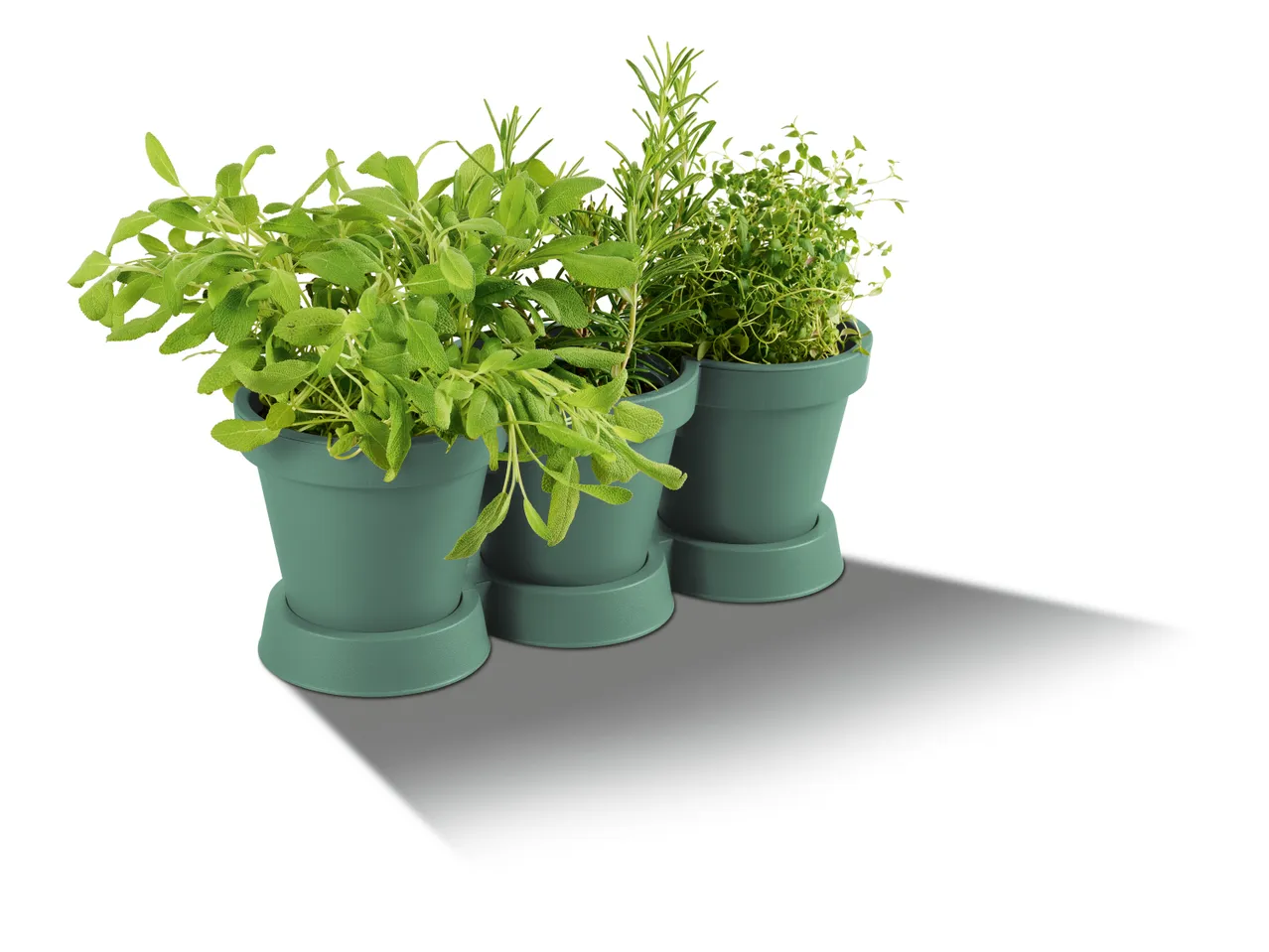 Vaso triplo per piante , prezzo 3.99 EUR 
Vaso triplo per piante 
- 100% plastica ...