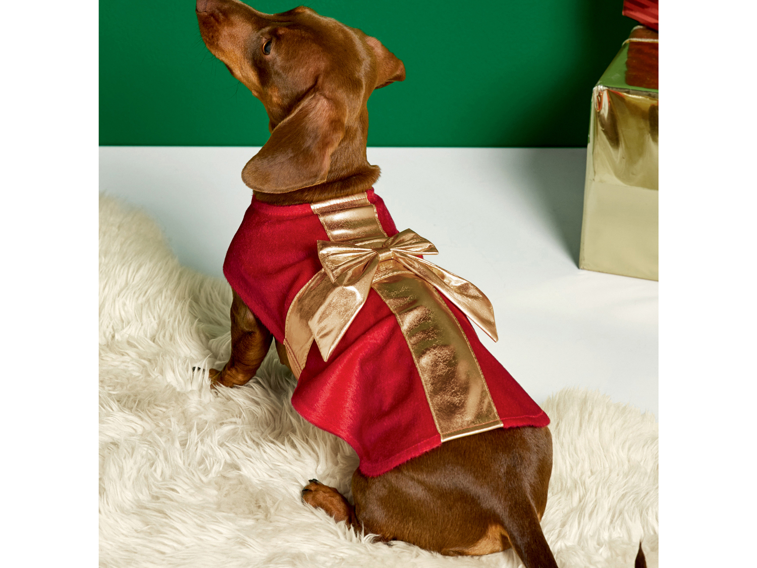 Costume natalizio per cani , prezzo 4.99 &#8364;  
Misure: XS - L