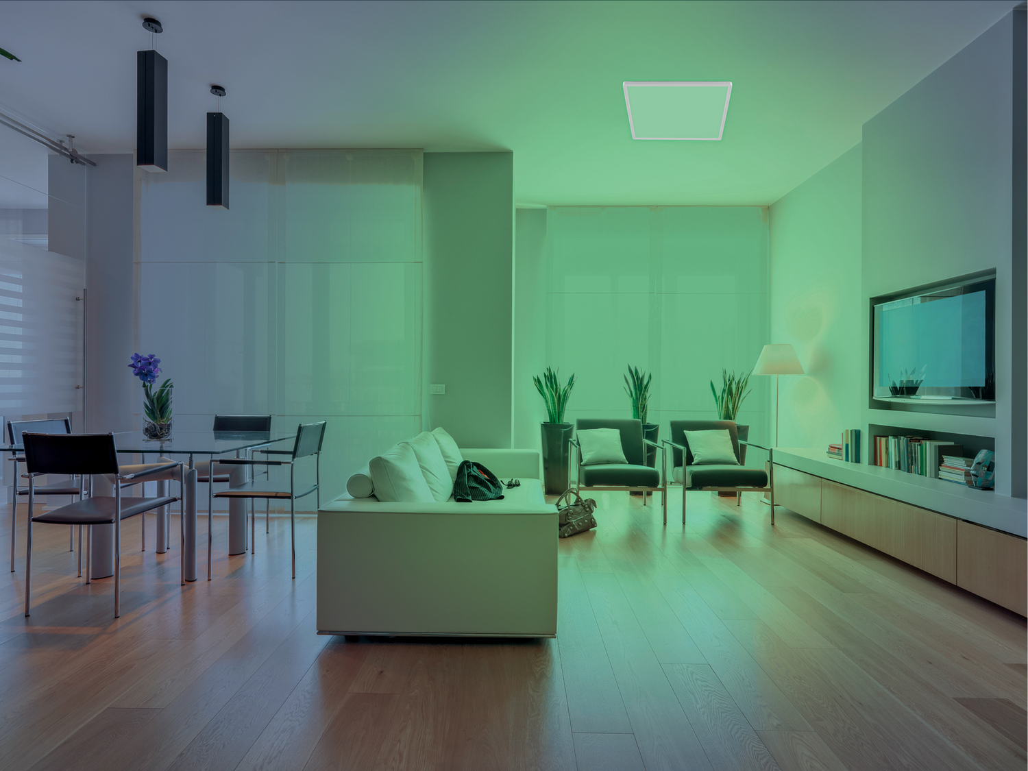 Lampada LED da soffitto smart Livarno, prezzo 34.99 &#8364; 
- Compatibile con ...