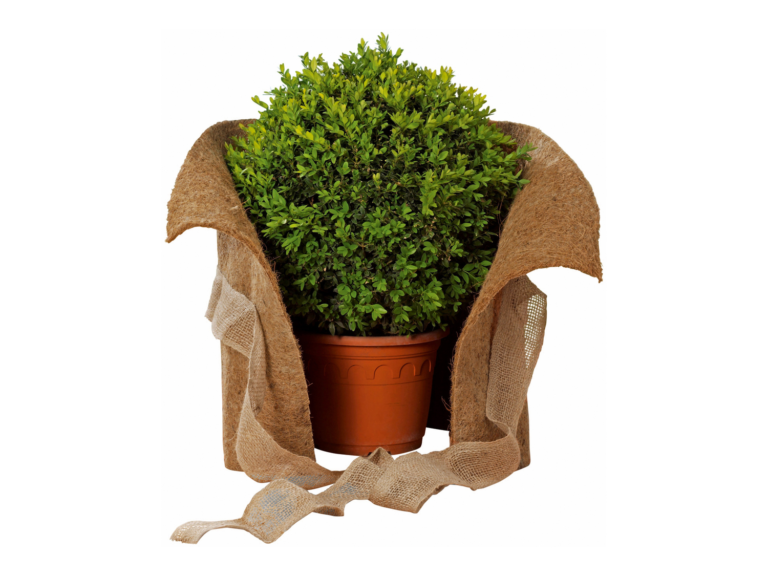 Telo proteggi piante Parkside, prezzo 4.99 &#8364;  

Caratteristiche