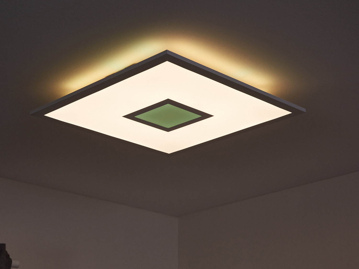 Pannello LED da soffitto Livarno, prezzo 39.99 &#8364; 
- Lampada dimmerabile ...